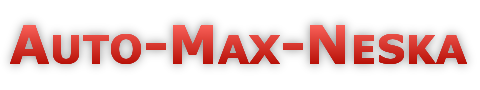 Auto Max Neska logo